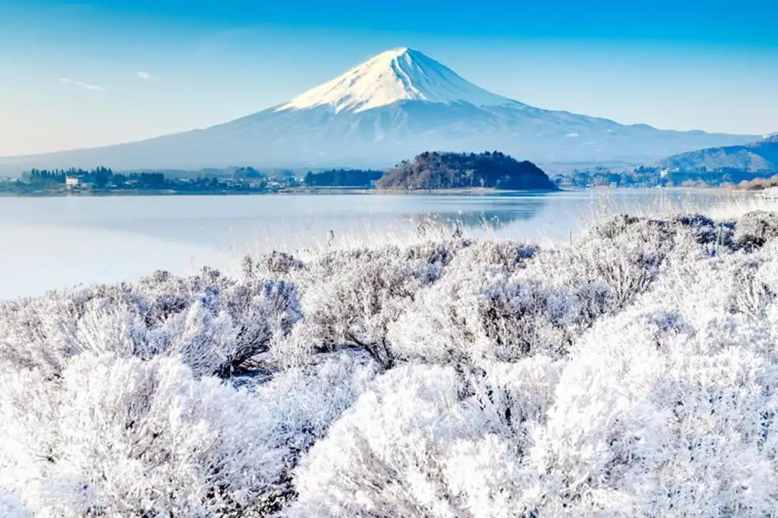 富士山