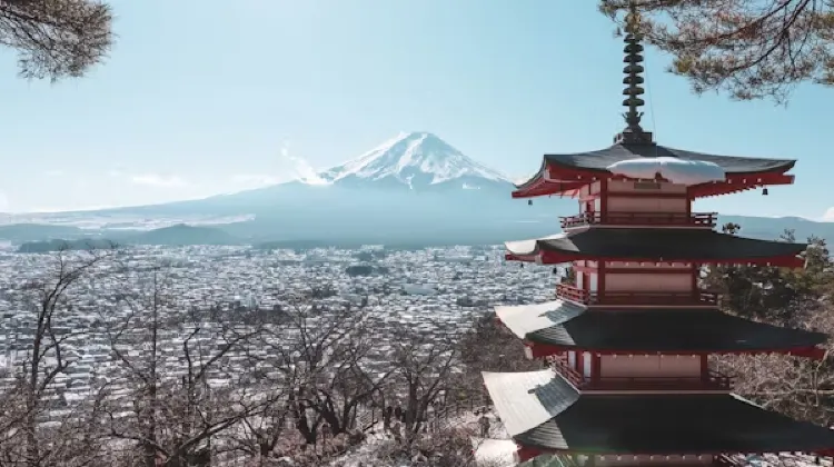 Mt Fuji Souvenirs: What to Buy in Mt Fuji