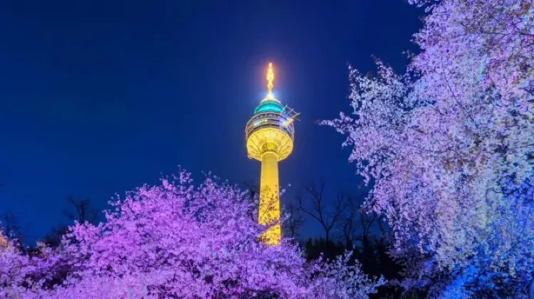 Best Things to Do in Daegu