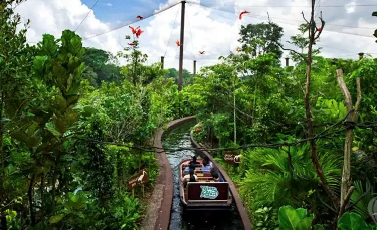 Mandai Wildlife Reserve Tickets