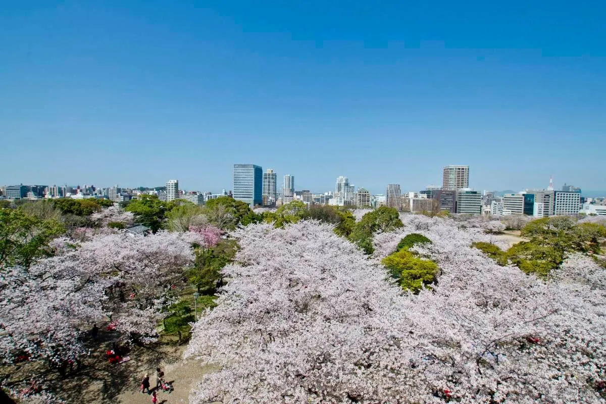Fukuoka Castle Ruins