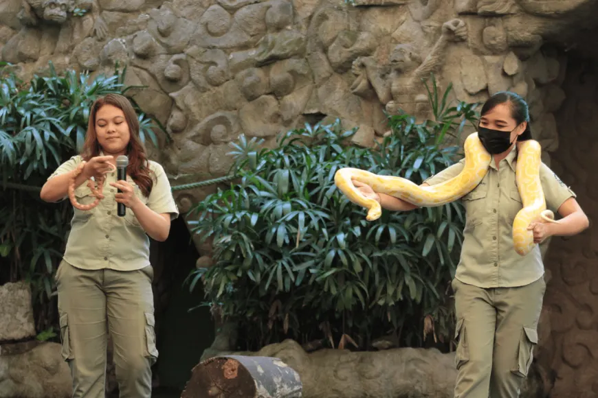 Cara Menuju ke Taman Safari Bali
