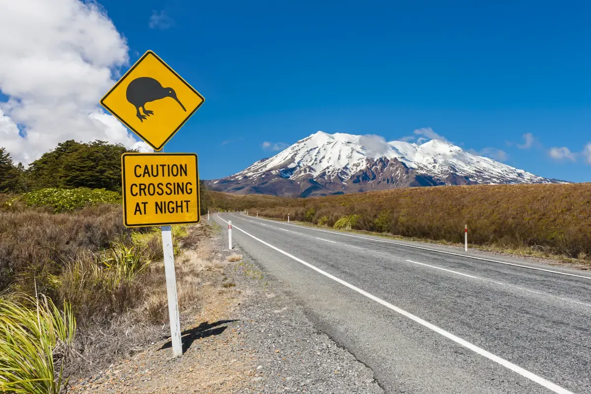 Tongariro National Park in New Zealand