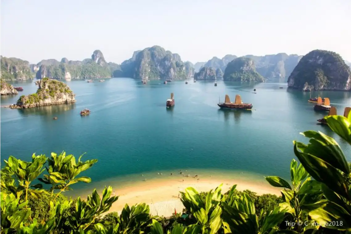 เปิดประเทศ