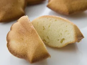 シェル・レーヌ