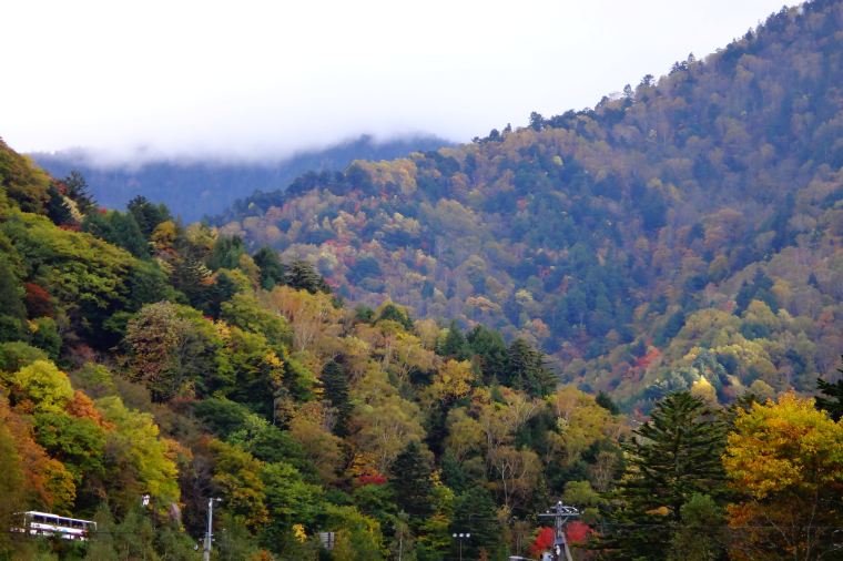 【奥飛騨温泉郷】紅葉の見頃は10月上旬~10月下旬