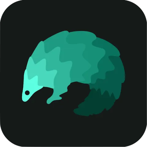 VPN