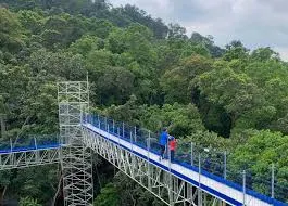 Hiking Kuala Lumpur FRIM Forest Skywalk