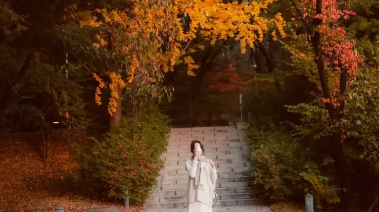 龍山駅から龍山旅行を始めよう！