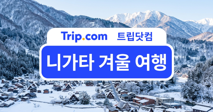 니가타 겨울 여행을 간다면? 스키·온천·해산물 꼭 해야할 것 | 트립닷컴