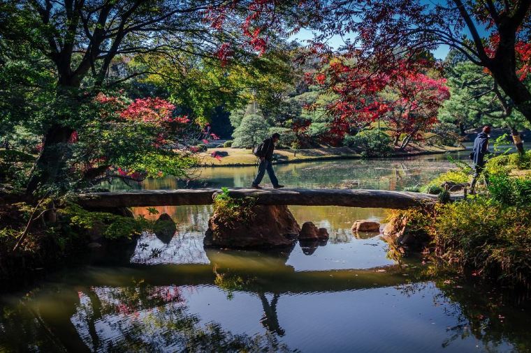 【六義園】紅葉の見頃は11月中旬~12月下旬