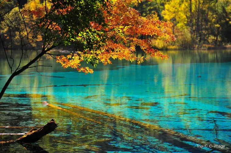 四川氣溫 - 九寨溝風景區