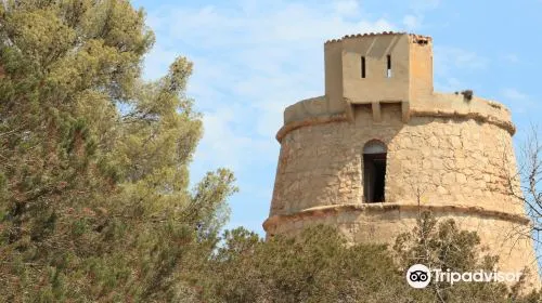 Methods to save money when travelling to Ibiza