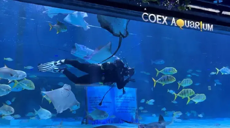 COEX 水族館