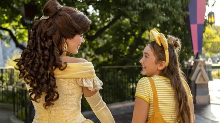 カリフォルニアディズニーランド チケット