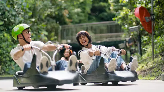 Best time to go to Skyline Luge