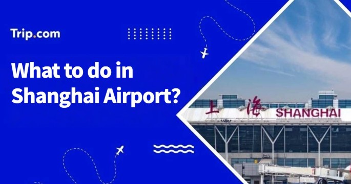 What to do in Shanghai airport during a layover?
