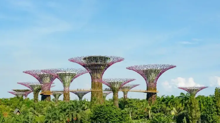 シンガポール植物園（ボタニックガーデン）