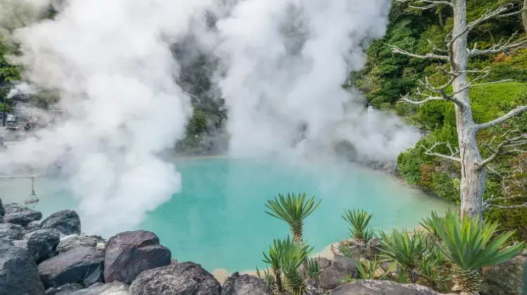 大分のお土産選びでよくある質問