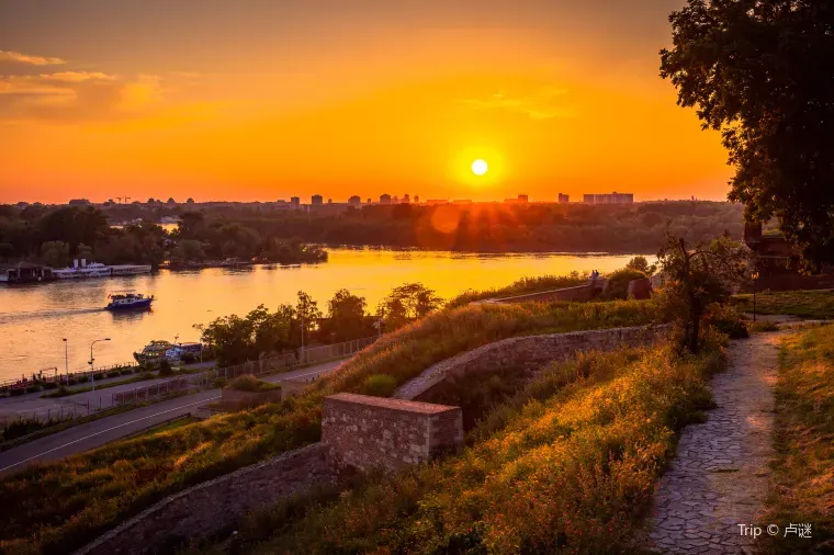 セルビアへ渡航する際は最新の治安情報を確認しよう