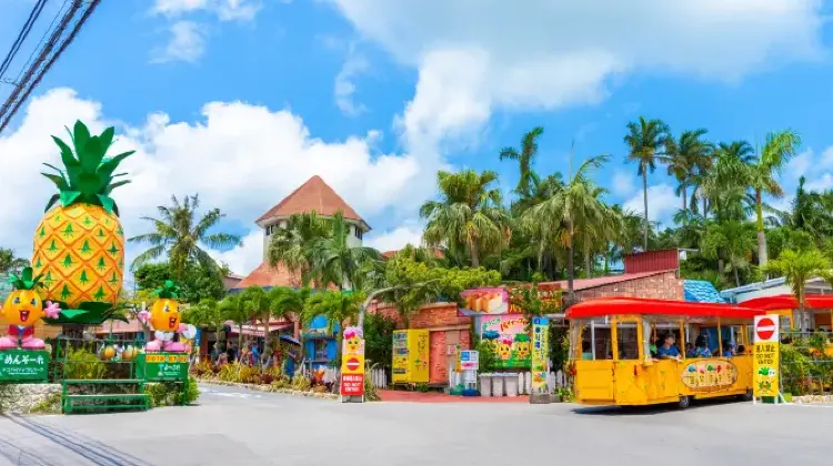 ジャングリア沖縄の周辺スポット3選