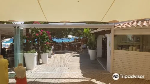 cost for food when travelling to Ibiza