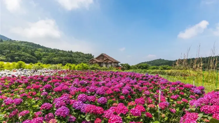 台北旅行はひとり旅こそおもしろい!