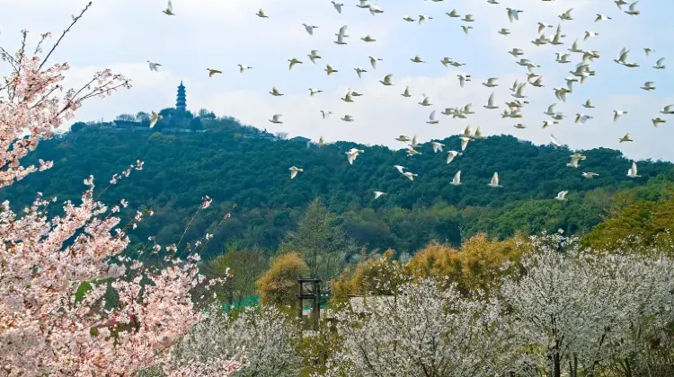 上海～蘇州のアクセス方法完全比較！高速鉄道、バス、地下鉄