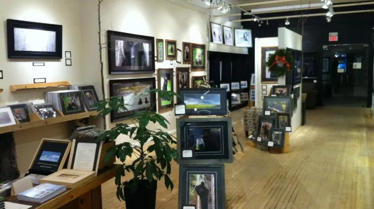 天気が雨の日にバンフで楽しみたい3つのこと