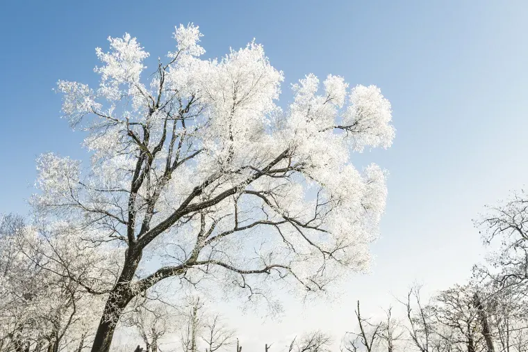 福島旅行で心温まるお土産を見つけよう!