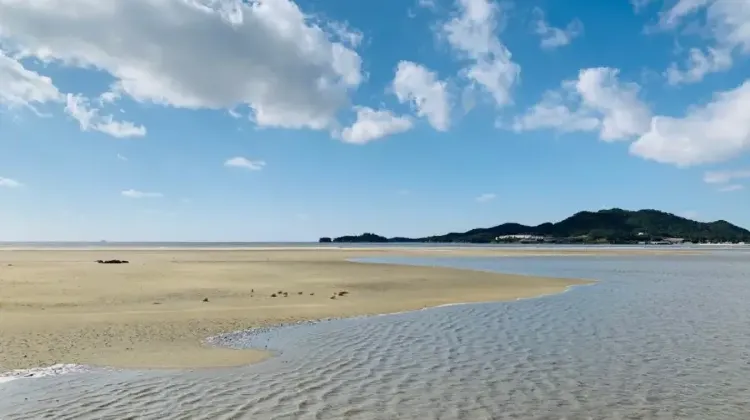 世界遺産|韓国の干潟(2021年)