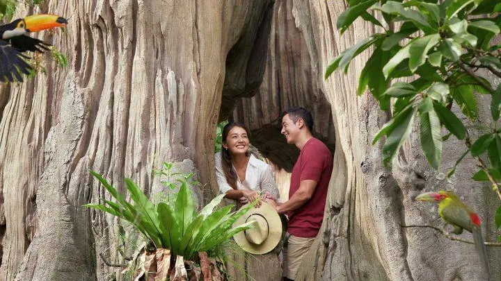 Bird Paradise attractions