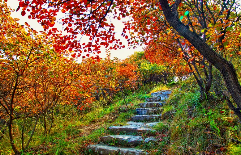 What is the Best Time to Visit Beijing?
