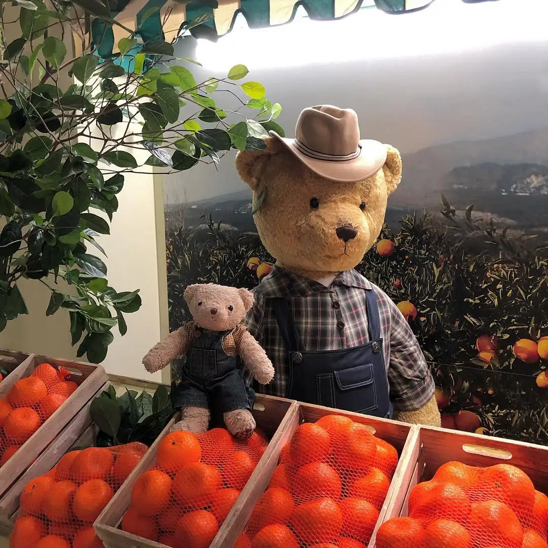 du lịch Hàn Quốc tự túc - Bảo tàng Gấu Teddy Bear