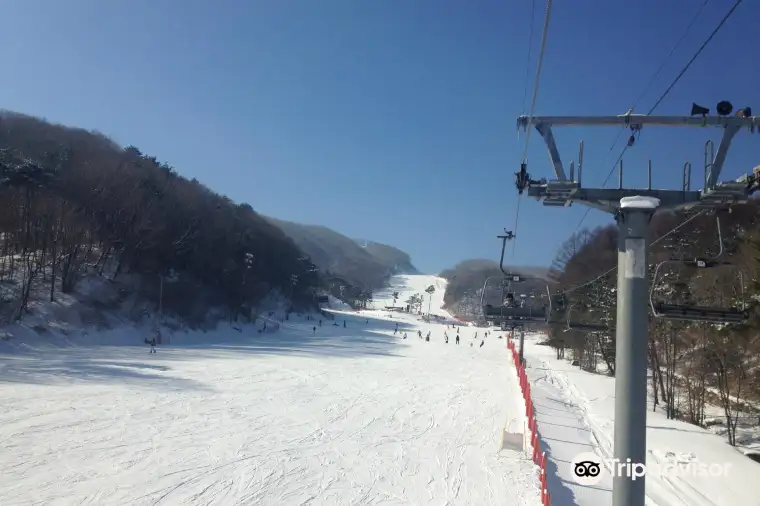 鳳凰滑雪場