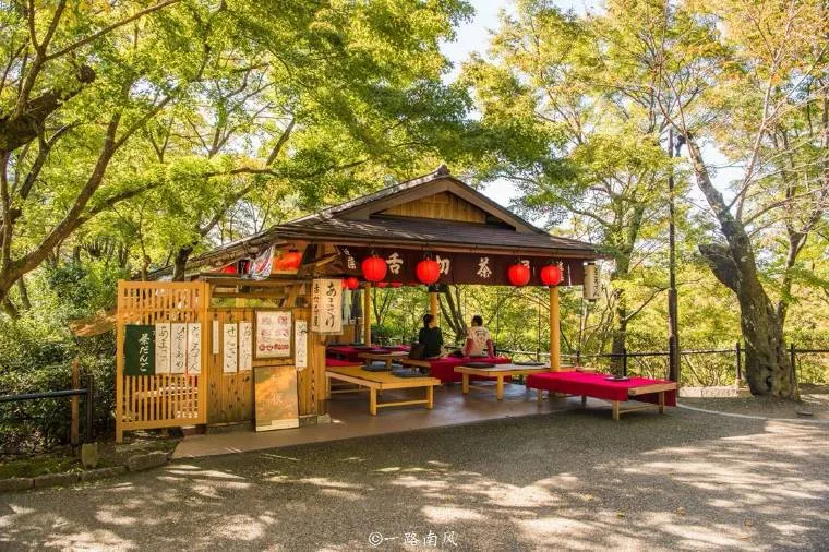 Best Attractions in Kyoto in July