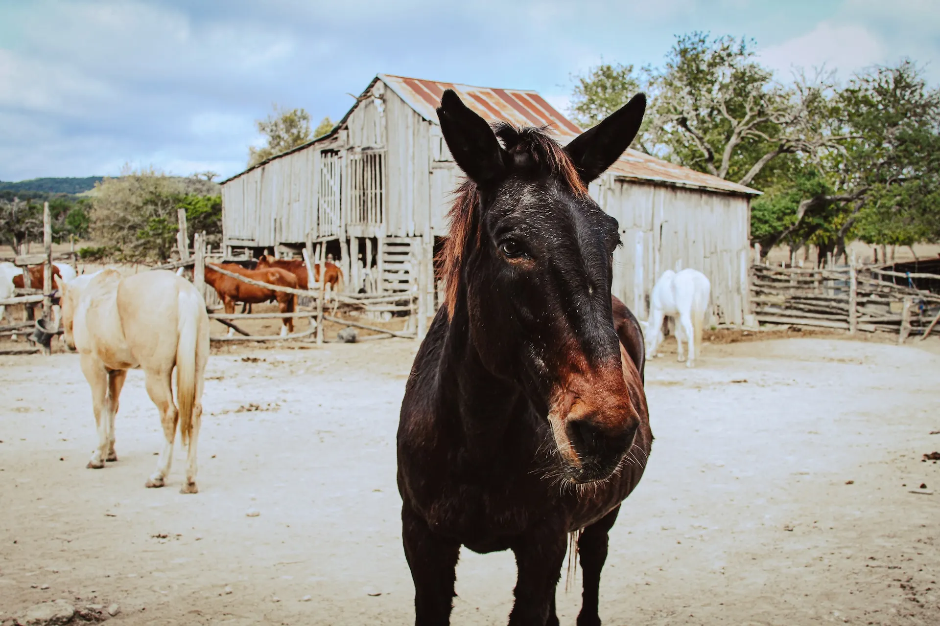 Top 15 Weekend Getaways in Texas Bandera