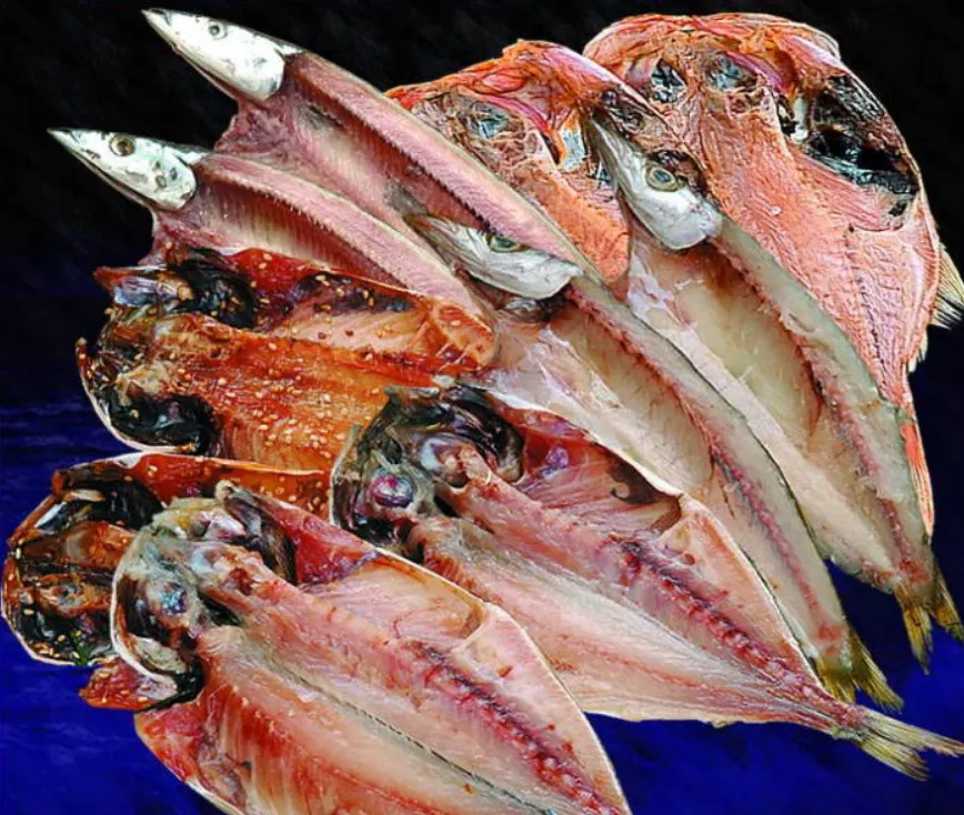 沼津加工ひものセット