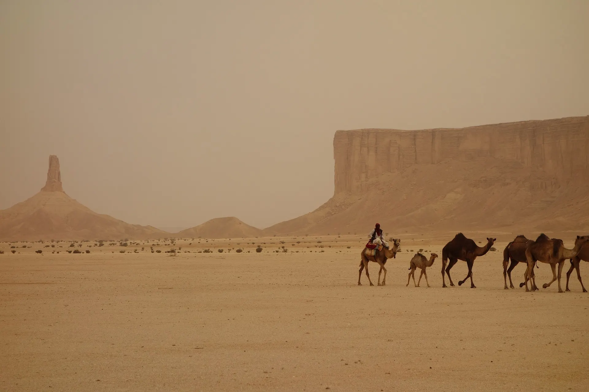 サウジアラビアの基本情報