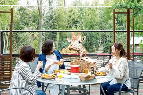 市原市:キリンと朝食を楽しめる?!「ザ・バンブーフォレスト」
