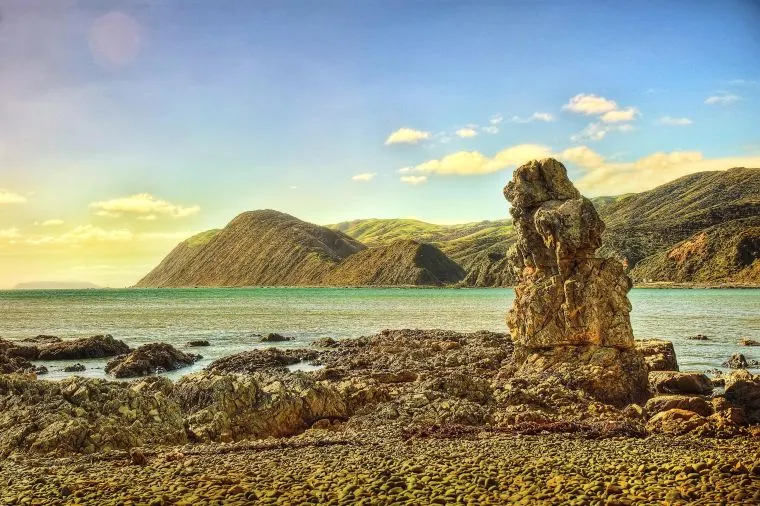 ニュージーランド・ウェリントンの8月の気温や最適な服装