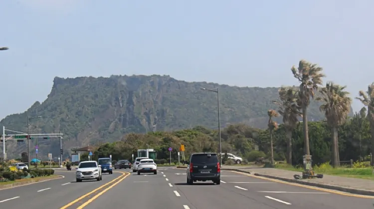 1.車は右側通行