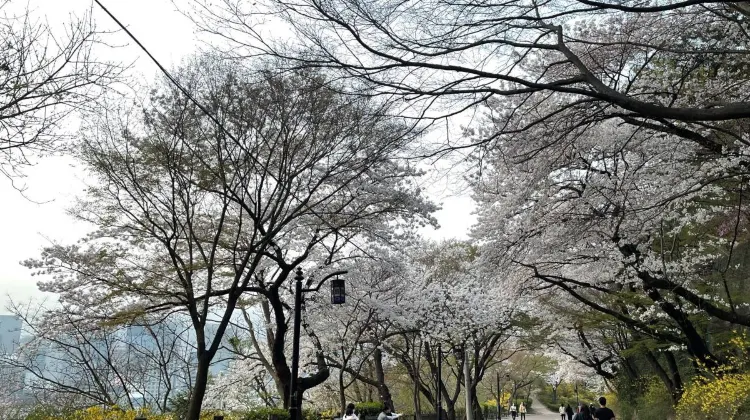 Top Attractions in Seoul 2024