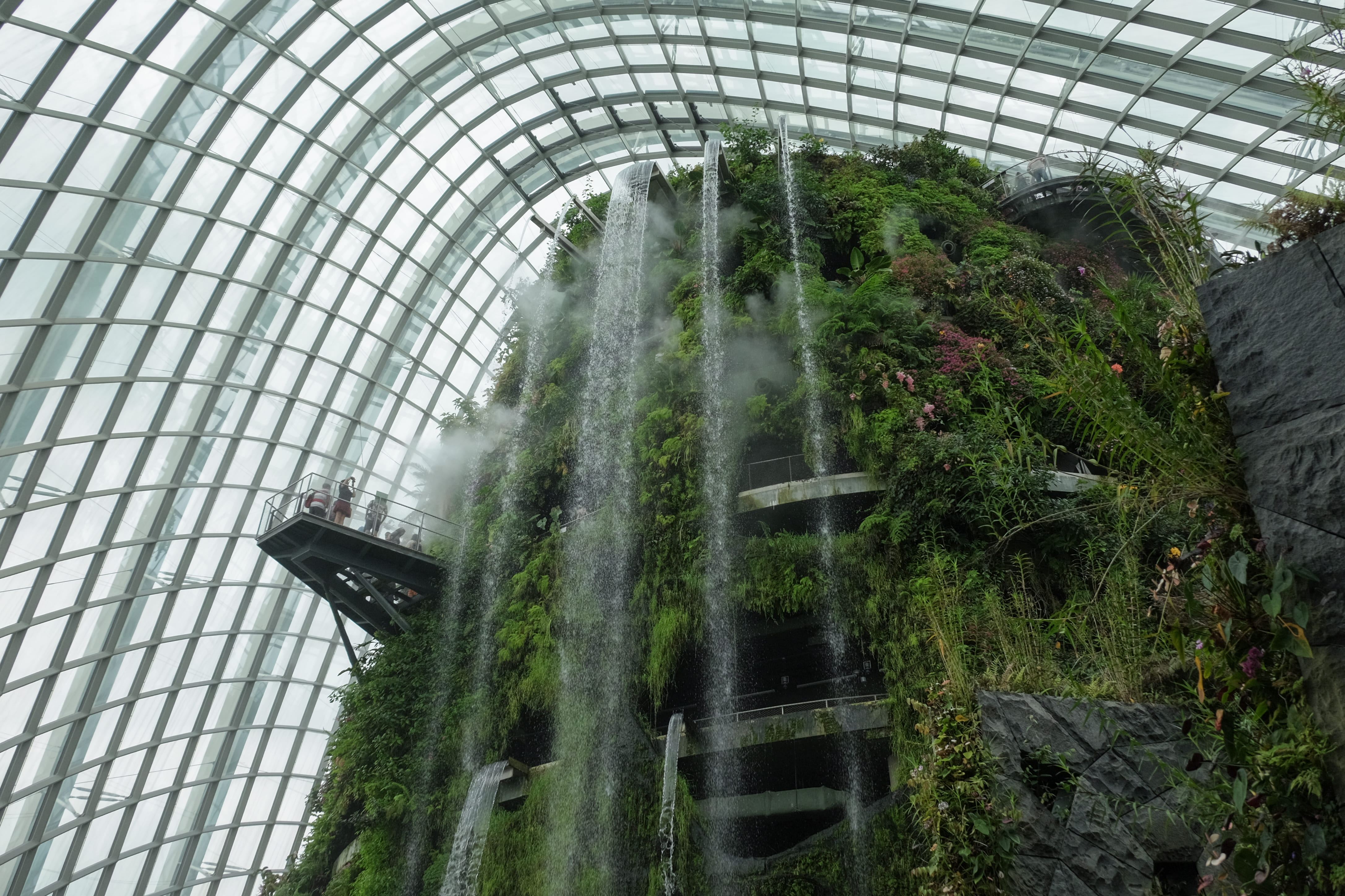 新加坡濱海灣花園雲霧山