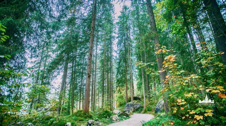 ドイツ旅行は基本変換プラグと変圧器が必要！