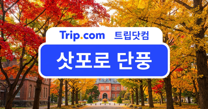 일본 단풍 축제 필수 코스! 삿포로 단풍 명소 BEST 5 | 트립닷컴