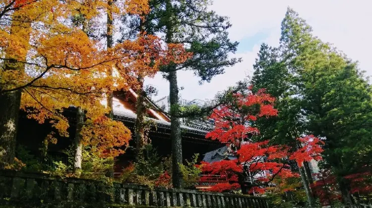 お土産選びで日光旅行はもっと楽しくなる!