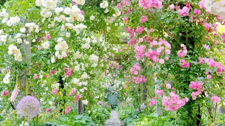 熱海のお土産選びでよくある質問