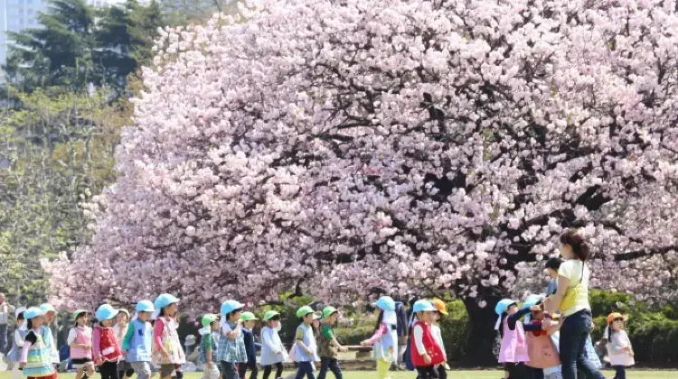 Top 20 Best Things to Do in Tokyo