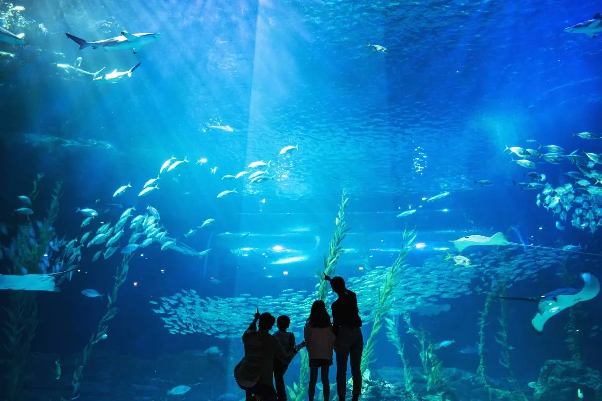 제주도 2박 3일 여행 일정